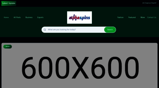 alphaspinsstudio.nl