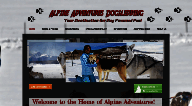 alpineadventuresdogsledding.com