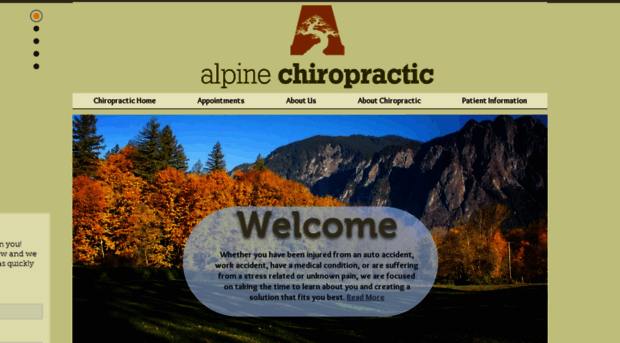 alpinechiropracticcenter.com