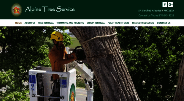 alpinetreeservicegj.com