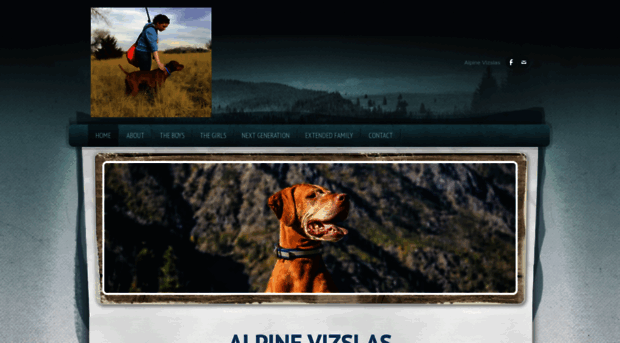 alpinevizslas.com