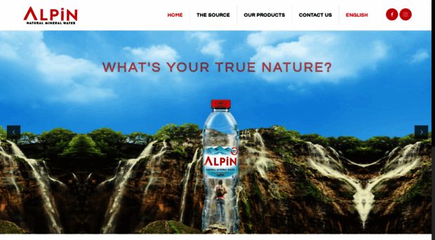 alpinwater.com