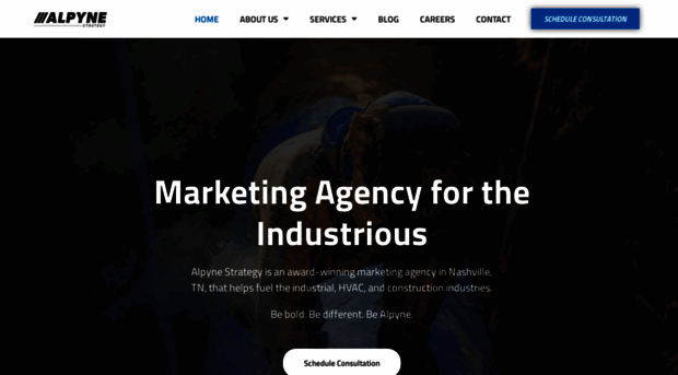 alpynestrategy.com
