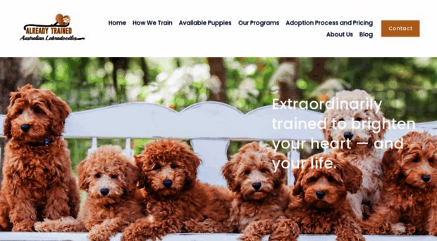 alreadytrainedaustralianlabradoodles.com