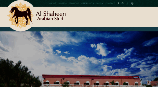 alshaheenstud.com