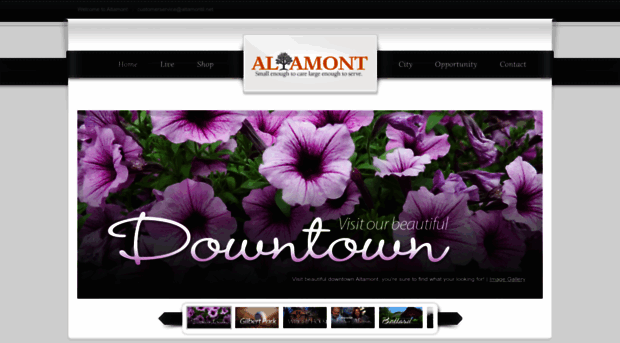 altamontil.net