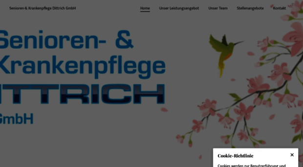 altenpflege-dittrich.de