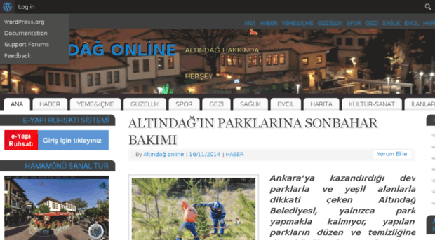 altindagonline.com