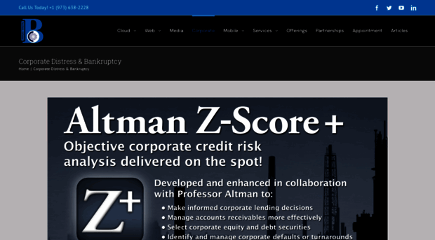 altmanzscoreplus.com