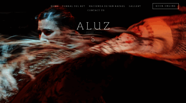 aluzcollection.com