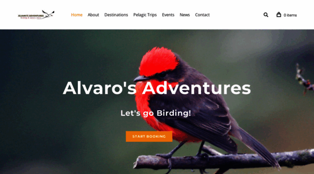 alvarosadventures.com