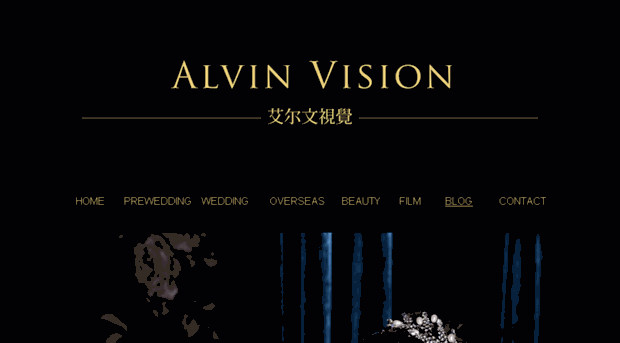 alvin-vision.com
