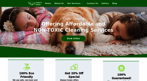 alwaysgreencarpetcleaner-manhattan-local.com