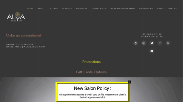 alyasalon.com