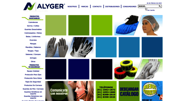 alyger.com
