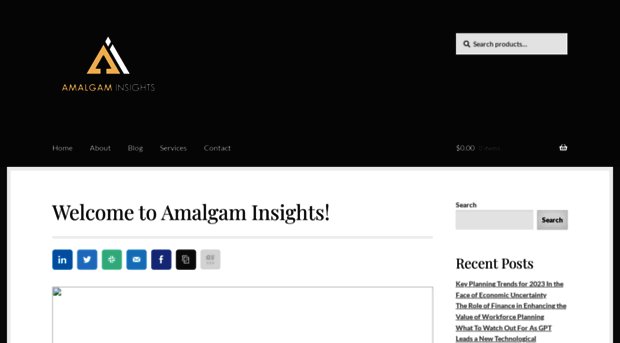 amalgaminsights.com