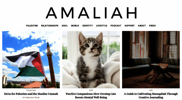 amaliah.co.uk