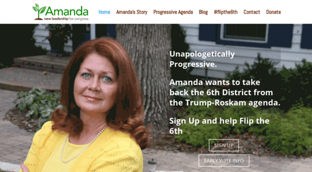 amandahowlandforcongress.com