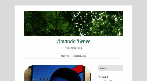 amandareneedayafterday.wordpress.com