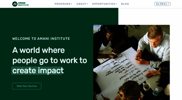 amaniinstitute.org