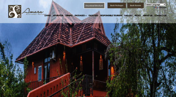 amaraayurveda.com