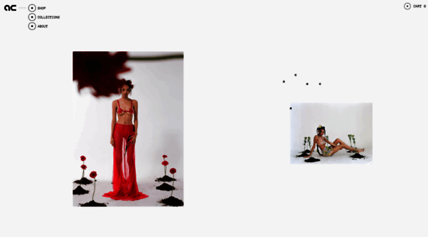 amaricarter.com