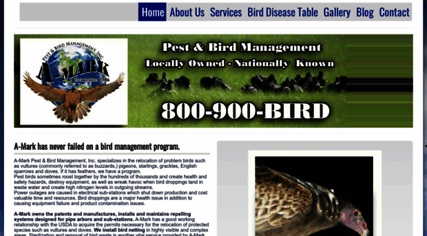 amarkbirdmanagement.com