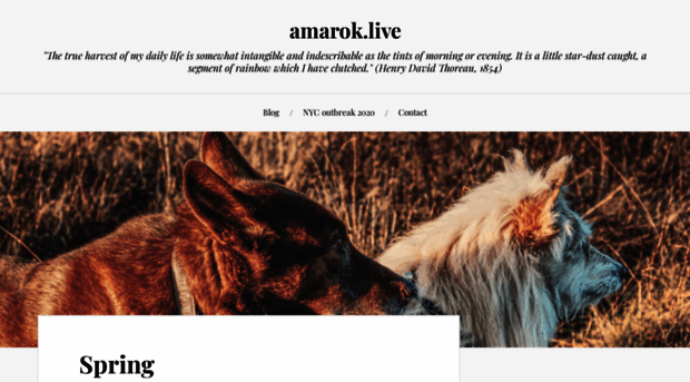 amarok.wordpress.com