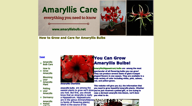 amaryllisbulb.net