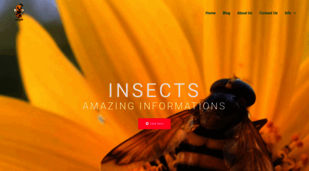 amazing-insects.com