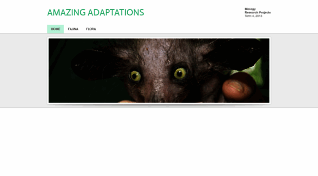 amazingadaptations.weebly.com