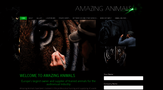 amazinganimals.co.uk