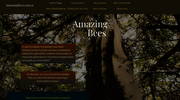 amazingbees.com.au