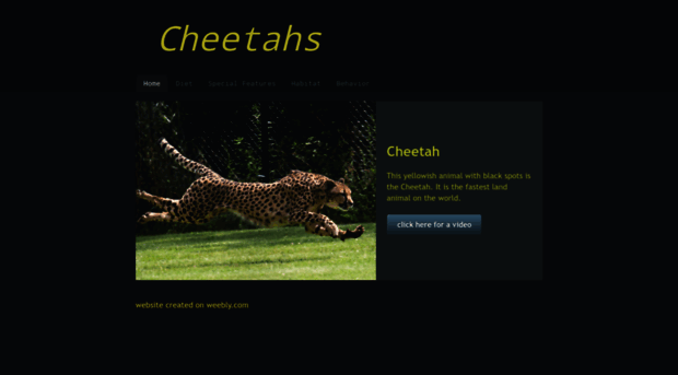 amazingcheetahs101.weebly.com