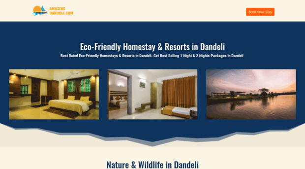 amazingdandeli.com