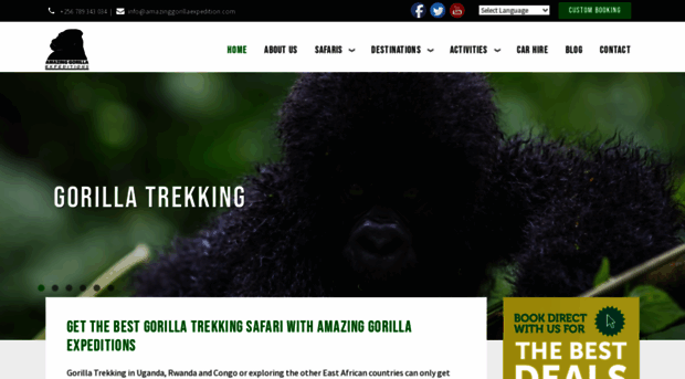 amazinggorillaexpedition.com