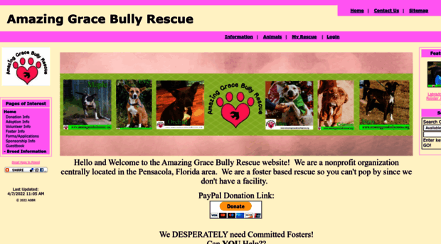 amazinggracebullyrescue.org