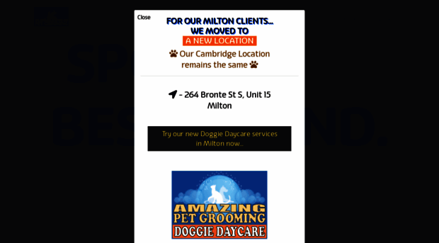 amazingpetgrooming.ca