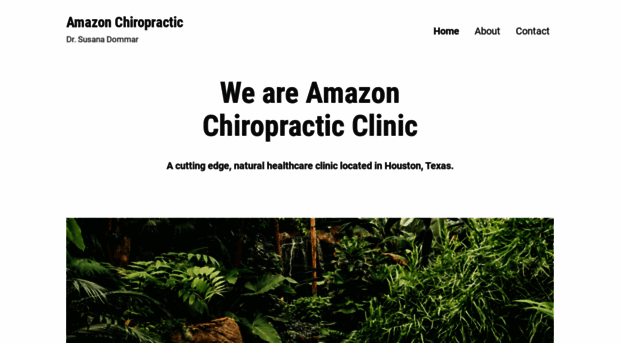 amazonchiropractic.wordpress.com