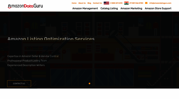 amazondataguru.com