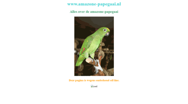 amazone-papegaai.nl