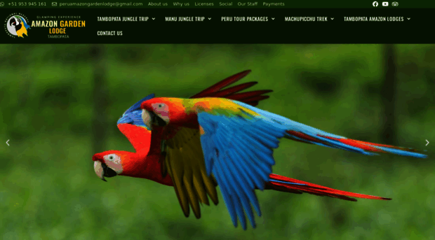 amazongardenlodge.com