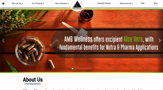 amb-wellness.com