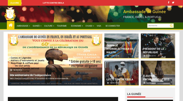 ambaguineefrance.org