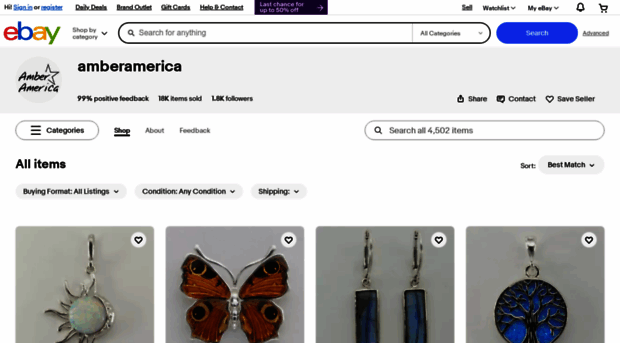 amberamerica.com