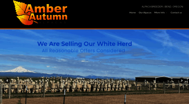 amberautumnalpacas.com