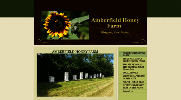 amberfieldhoneyfarm.com