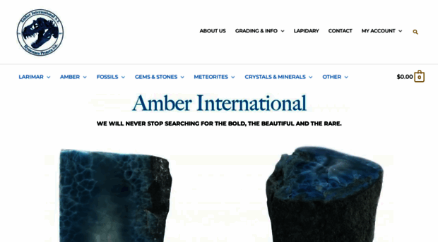 amberinternational.net