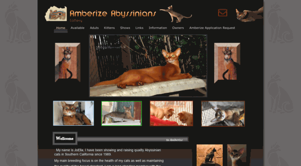 amberizeabyssinians.com