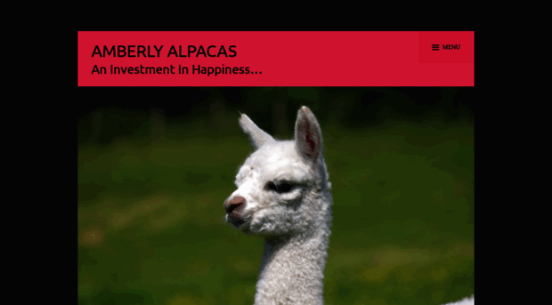 amberlyalpacas.com